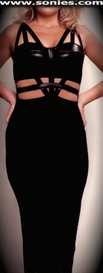 Charmingly Bound Satin Lycra & Leather Cage Gown