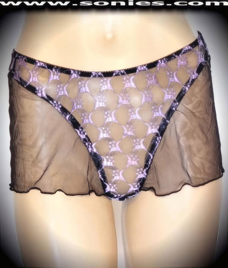 Anarawd embroidered lace thong panty with mesh hip sides
