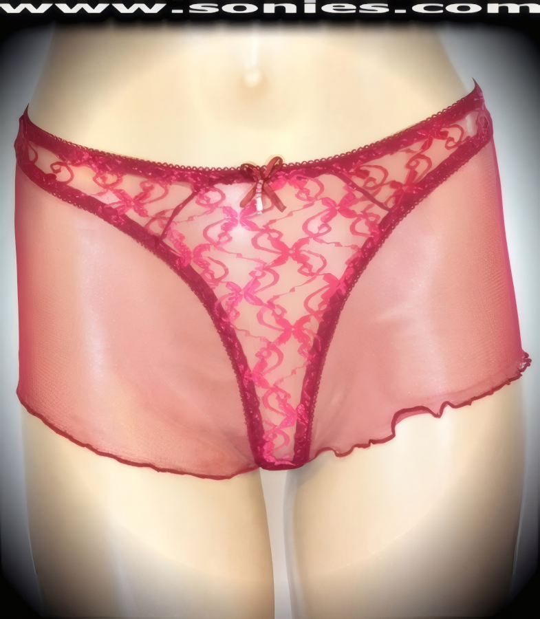 Anarawd embroidered lace thong panty with mesh hip sides