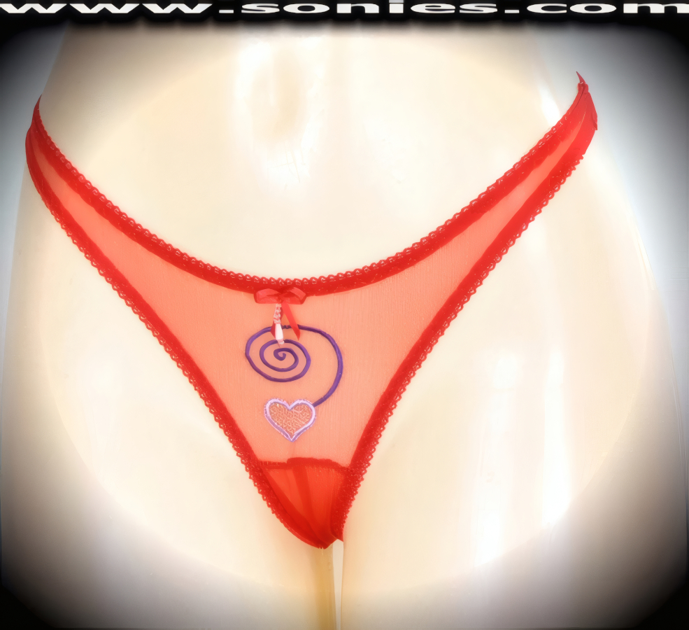 Fine mesh crotchless panty with embroidered swirl and heart