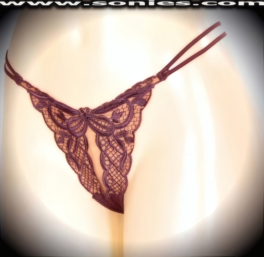 Mayte translucent stretch mesh dance wear thong panty