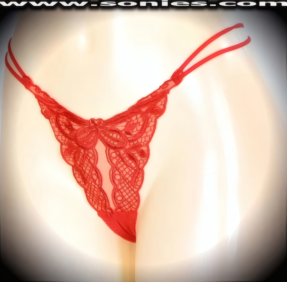 Mayte translucent stretch mesh dance wear thong panty