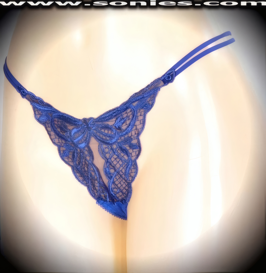 Mayte translucent stretch mesh dance wear thong panty