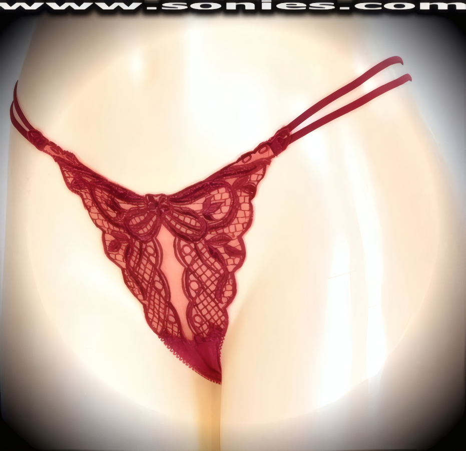 Mayte translucent stretch mesh dance wear thong panty