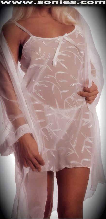 Eilwen Diaphanous Chiffon Two-Piece Set