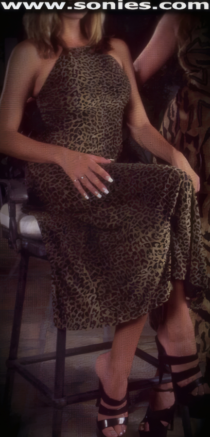 Gerbasi burn-out panné print velour gown