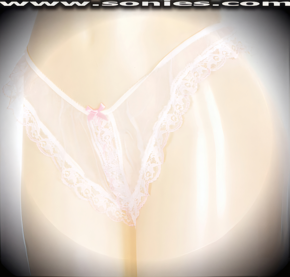 Kangchen Sheer Mesh Openable Crotch Panty with Lace