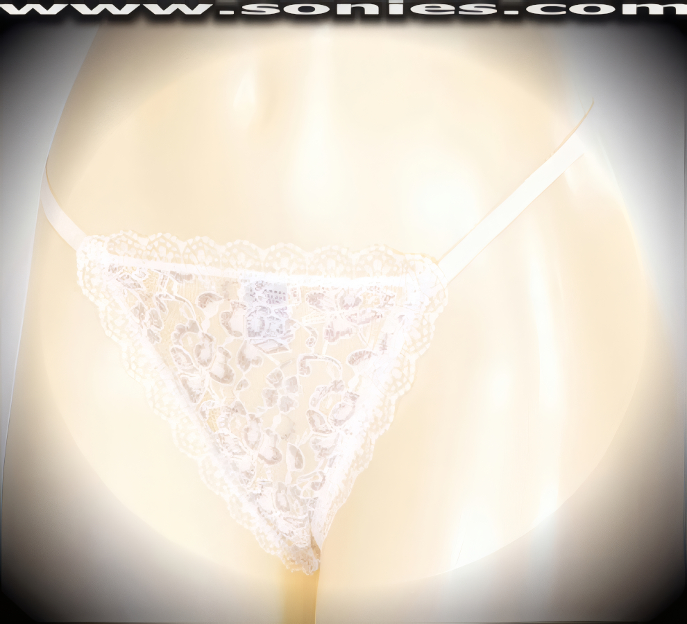 Adiona sheer floral lace with glitter silver Lurex G-String