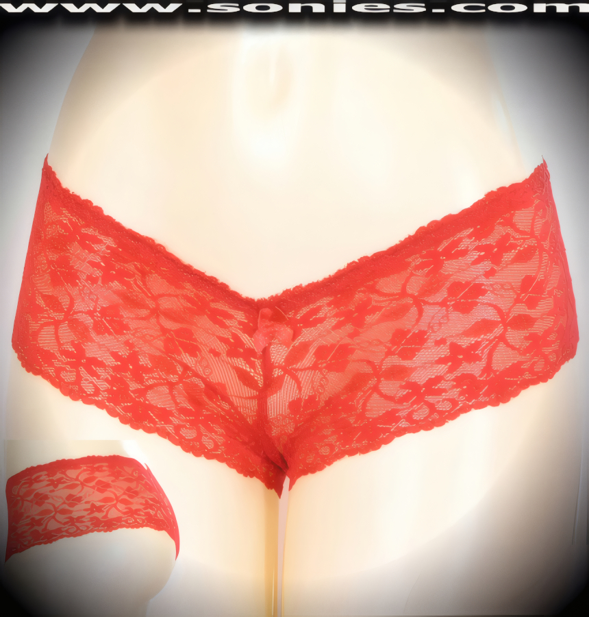 Werner sheer nylon with floral lace Lycra cheeky shorts