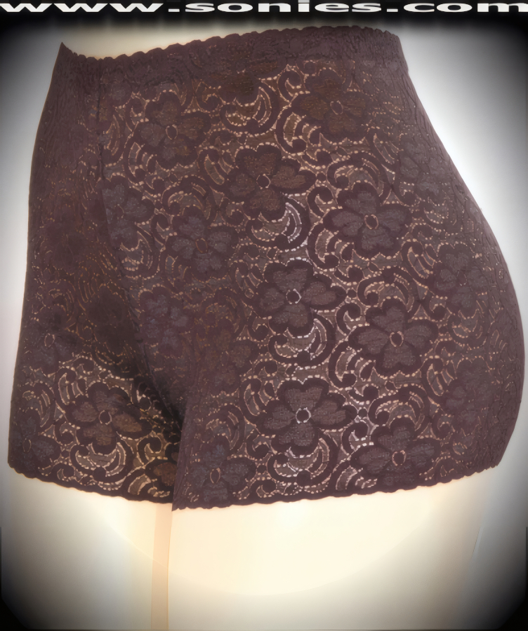 Ilion Sheer Nylon Lace Panty with Lycra