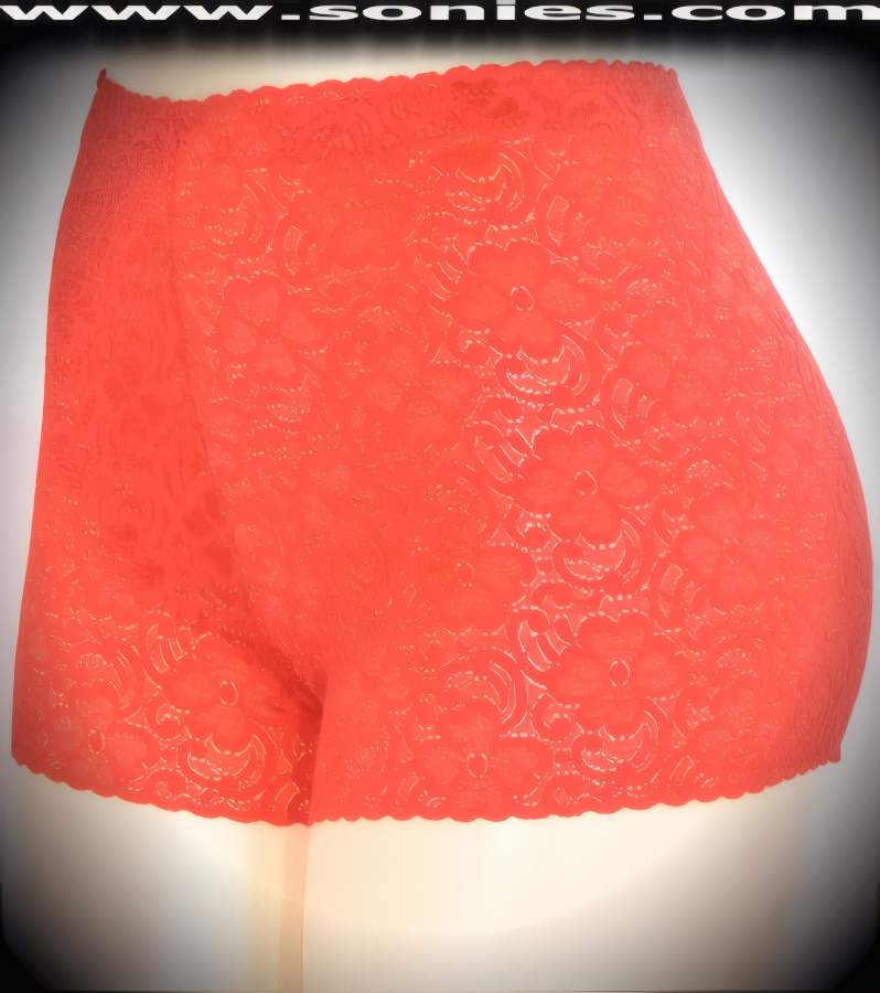 Ilion Red Sheer Nylon Lace Panty with Lycra