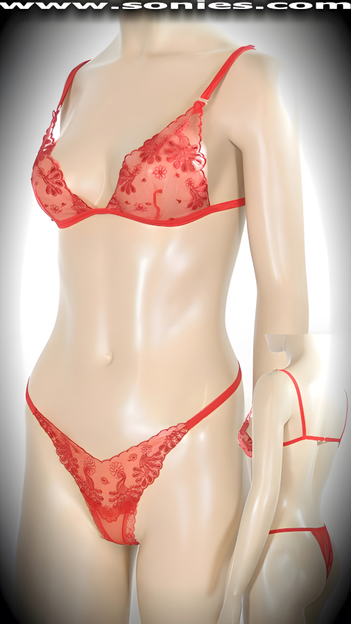 Avedon Embroidered Mesh Set