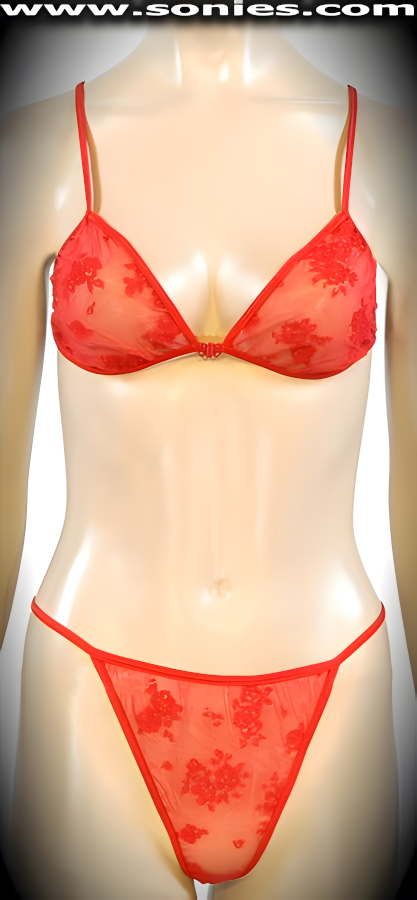 Anwyn mesh with embedded floral velvet two-piece set