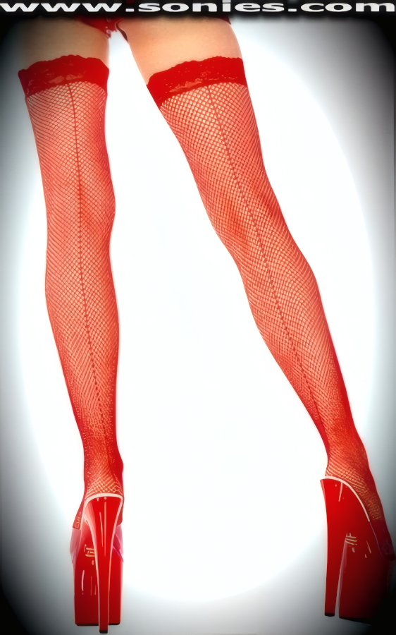 Princess fishnet stockings with backseam and lace top