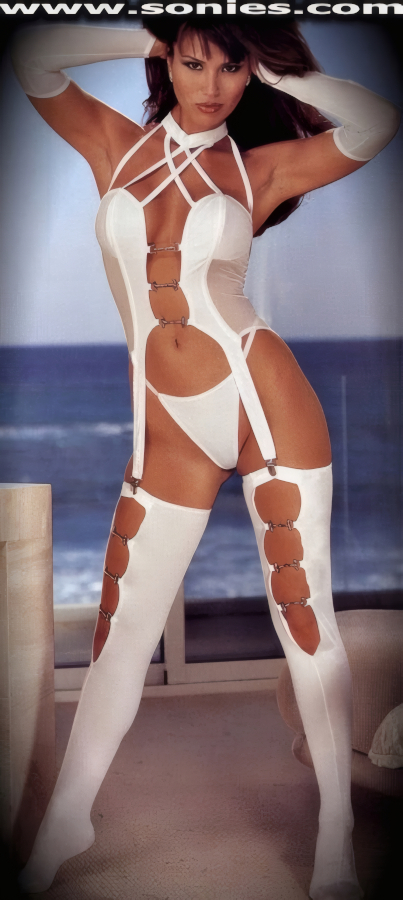 Hippolytus Lycra bustier, G-String, gloves and stockings set