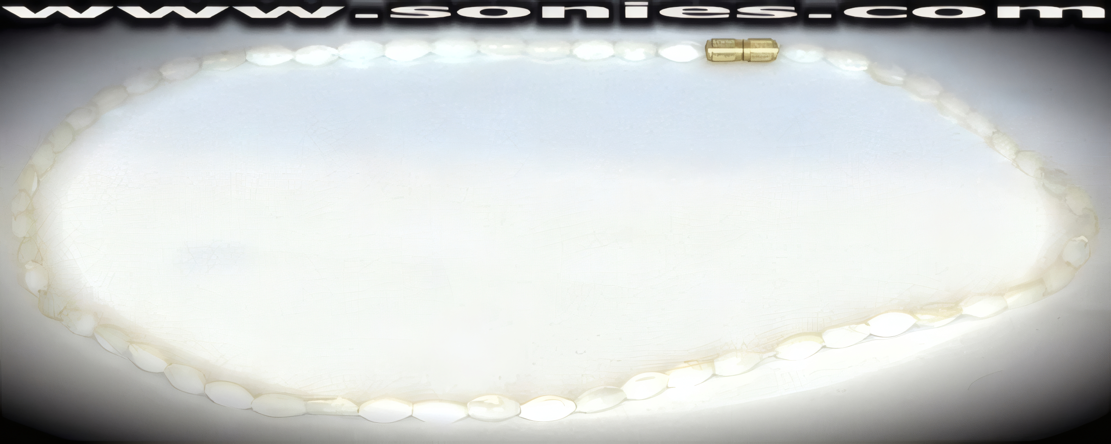 Dragon white tusk coral bead necklace