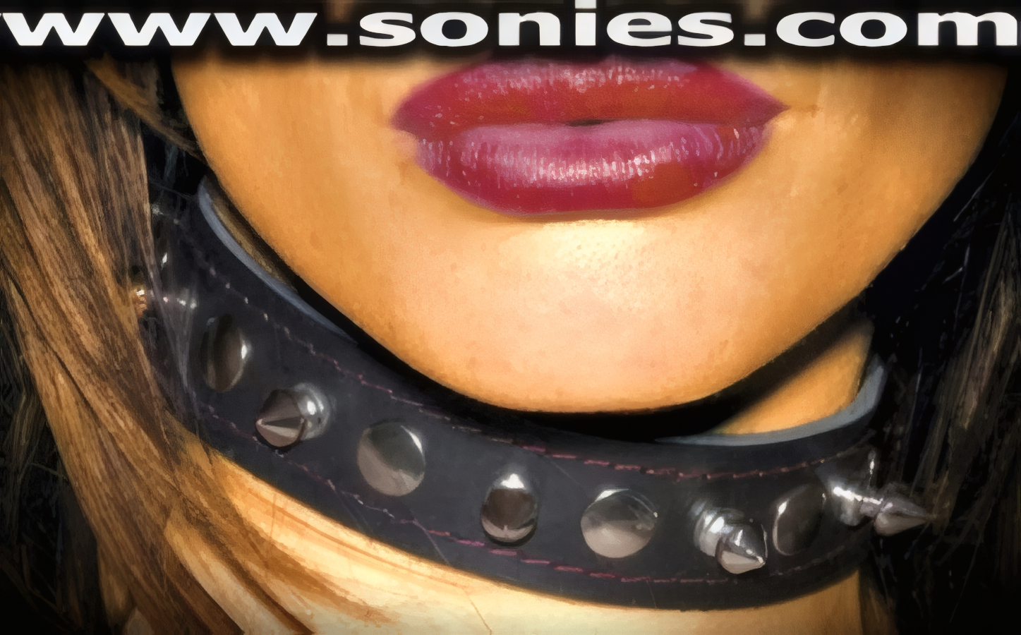 Columbia Spiked Leather Choker Collar with Studs