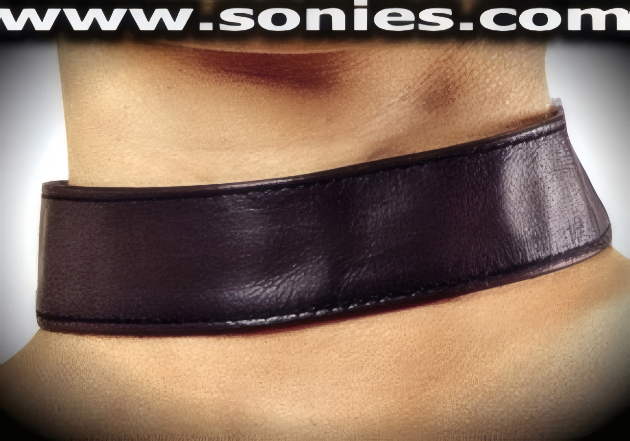 Diablo leather choker collar with adjustable metal snap closures