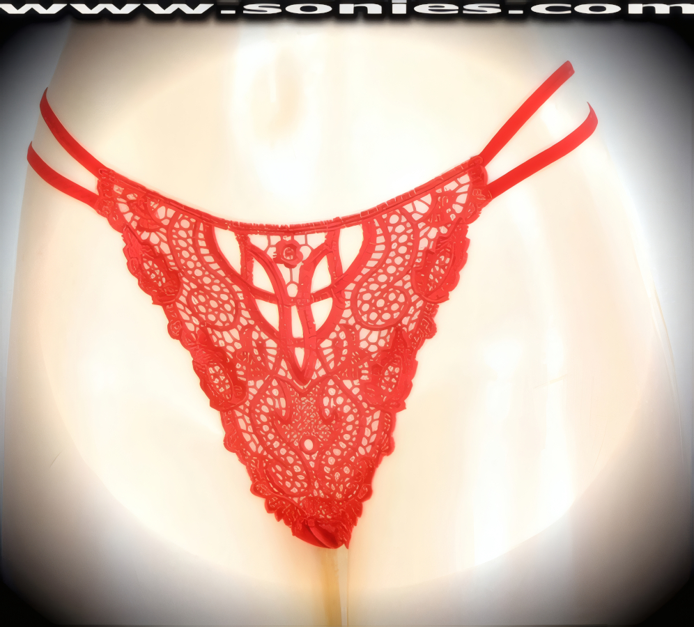 Kornephoros embroidered floral sheer front thong panty