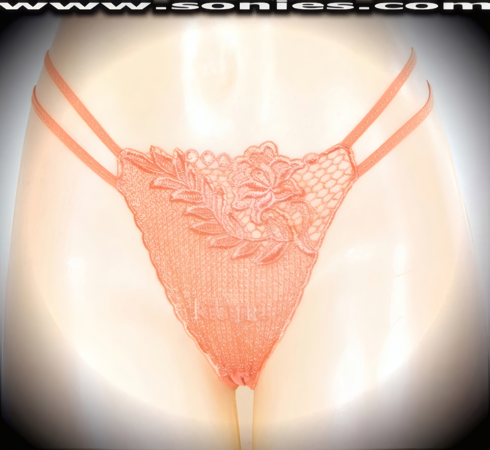 Viva Mi Vida Low-Rise Embroidered Rose Thong Panty