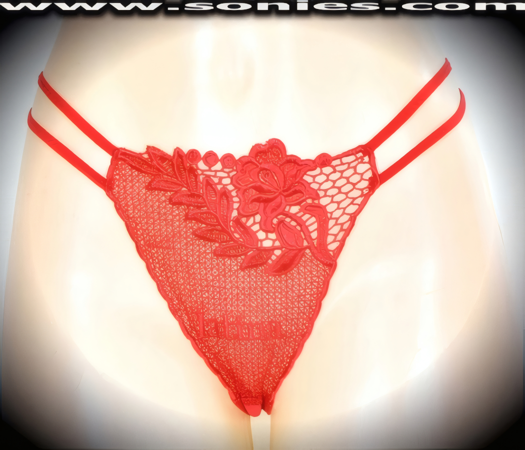 Viva Mi Vida Low-Rise Embroidered Rose Thong Panty
