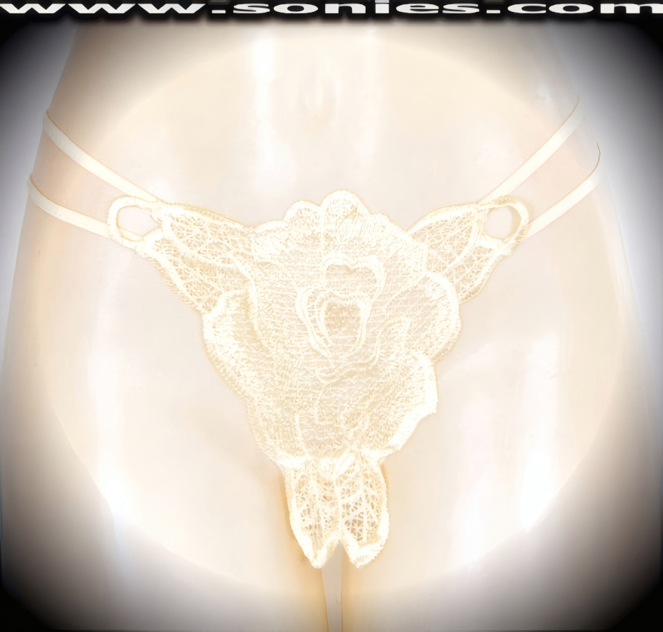 Klimt Low-Rise Lace Rose Embroidered Thong Panty