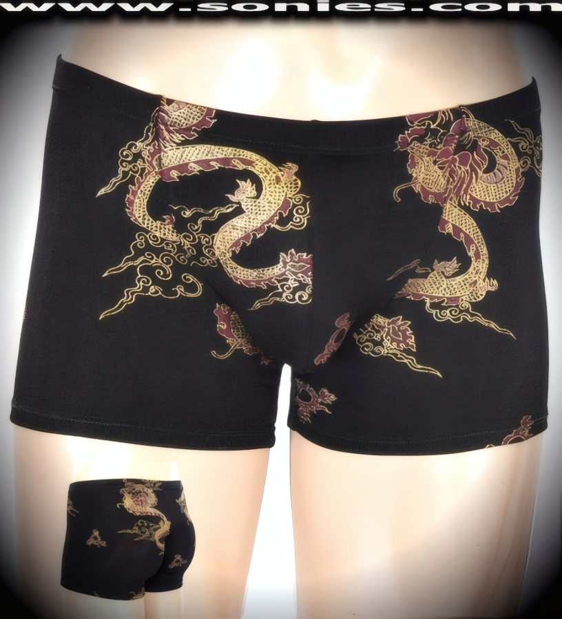 Men's Broderick dance-wear dragon print slinky Lycra shorts