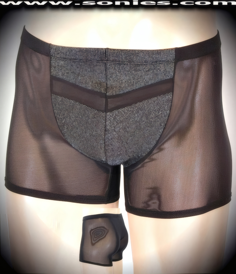 Men's Troy stretch power mesh with silver sparkle Lycra shorts