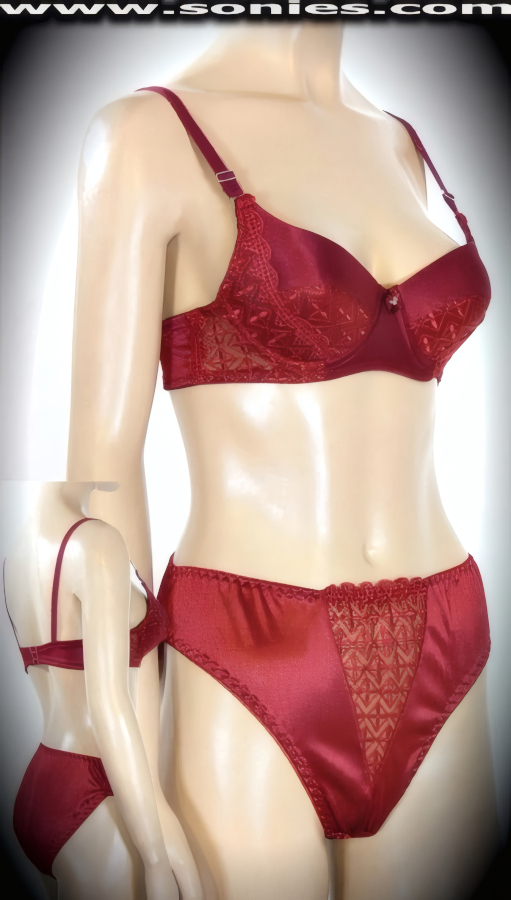 Burgundy Temoca exquisitely embroidered bra and panty set