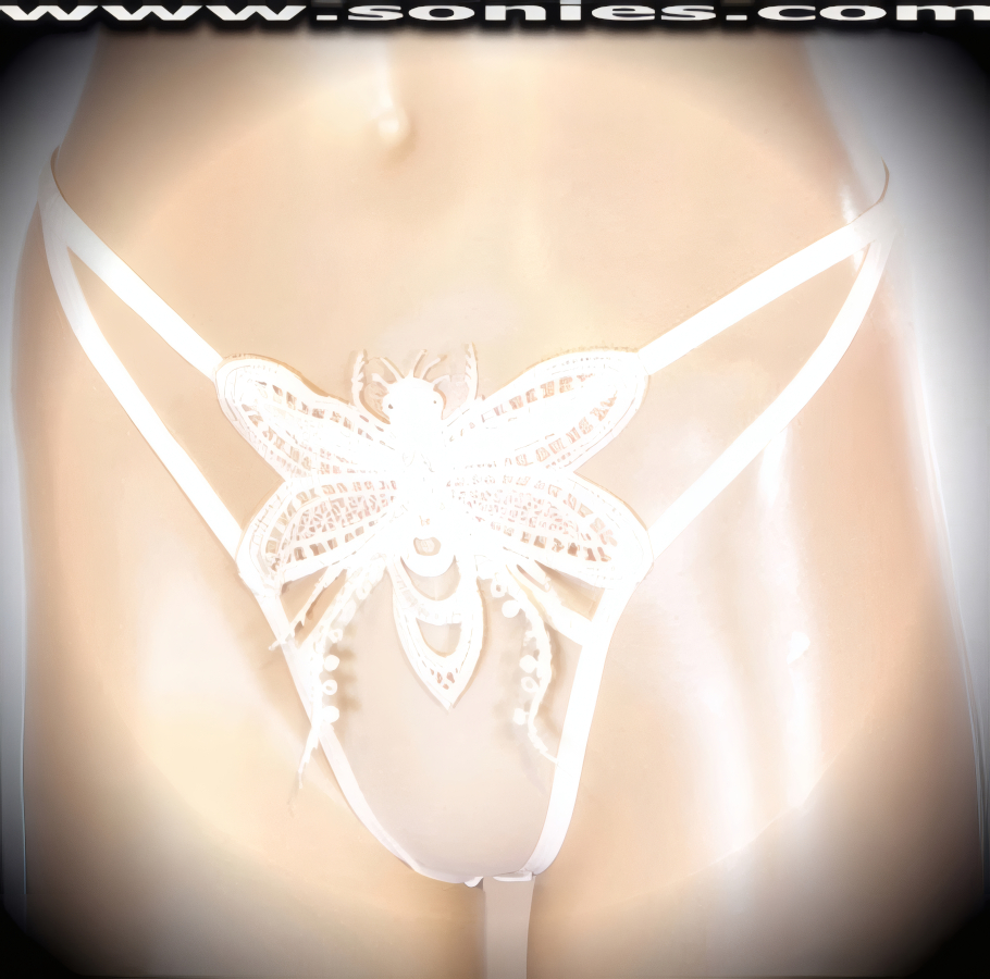 Almera Embroidered Mesh Thong Panty
