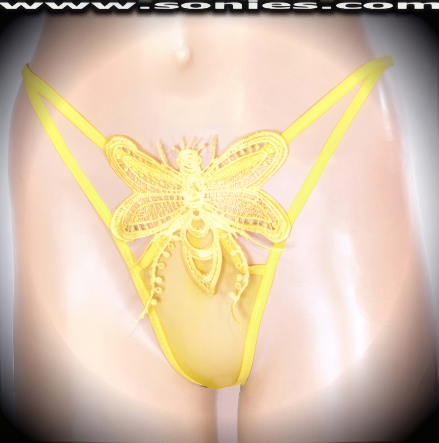 Almera Embroidered Mesh Thong Panty