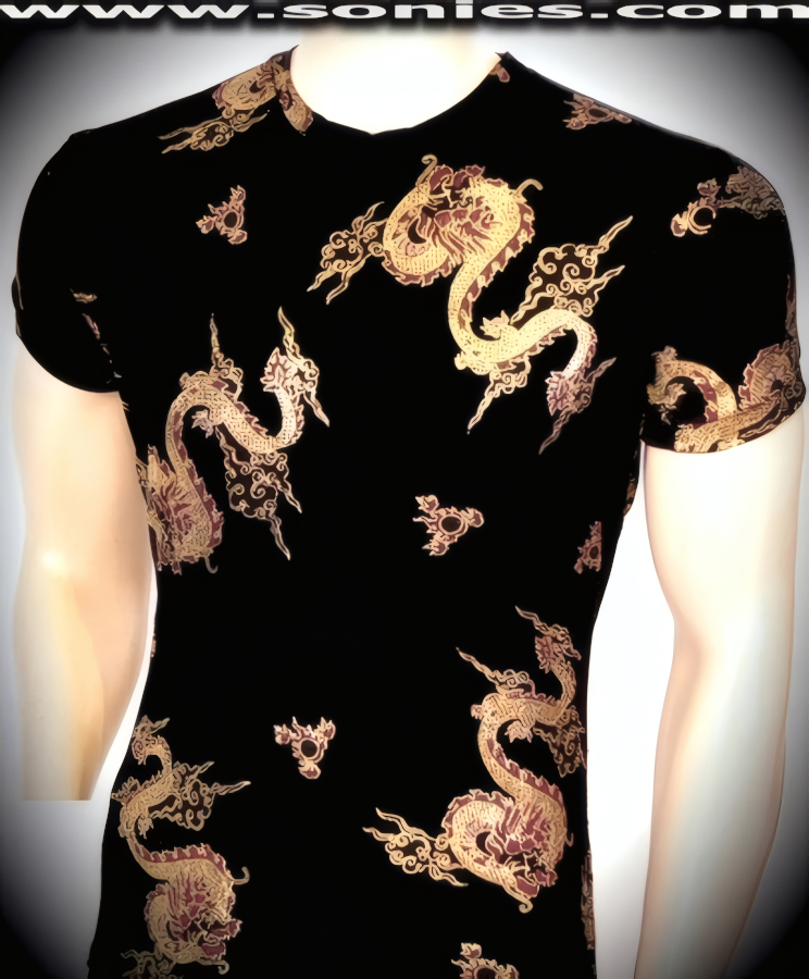 Man's Circe golden dragon print slinky Lycra crewneck dance-wear shirt