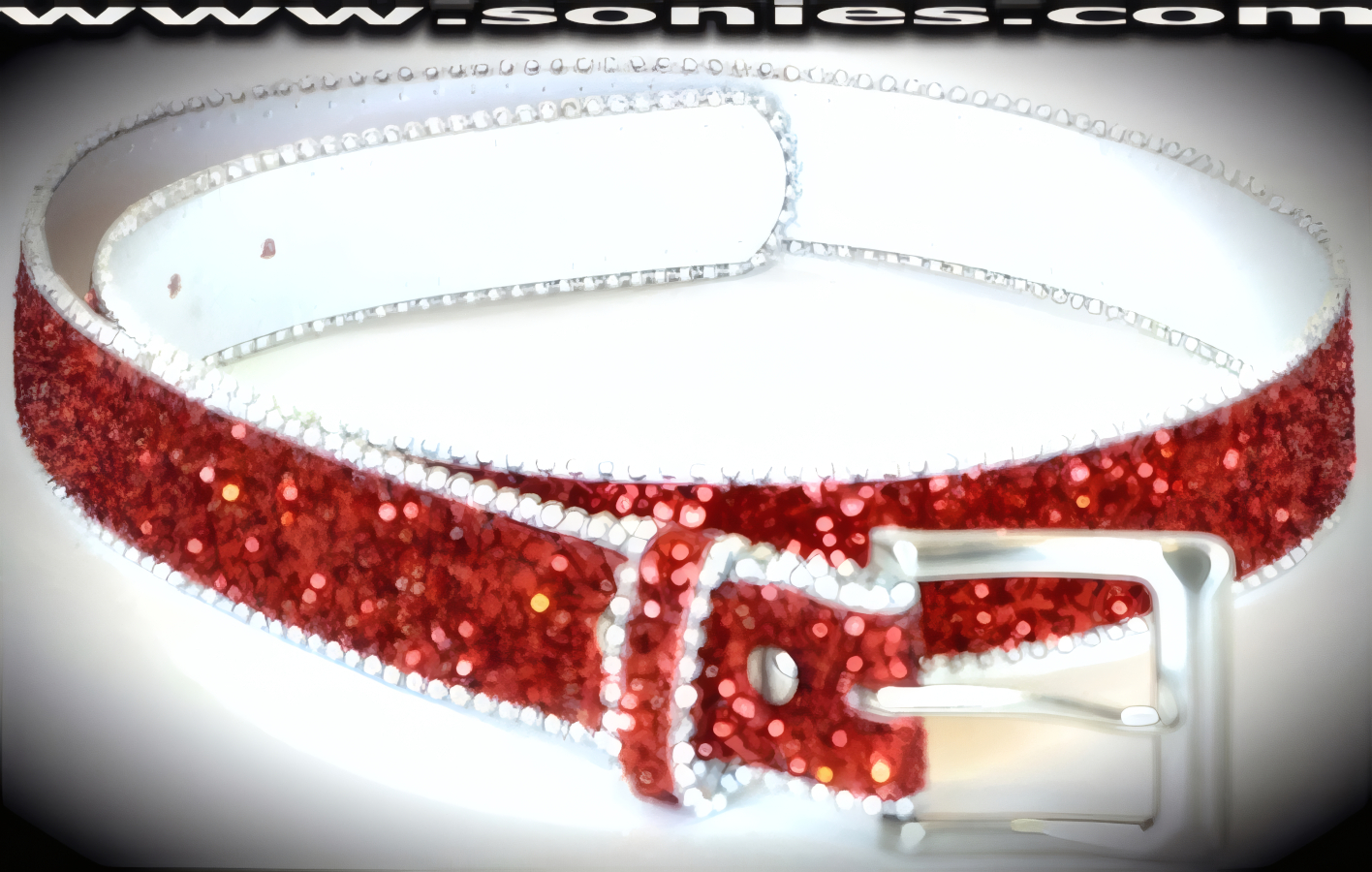 Amphiaraus glitter sparkle belt with silver beaded edging