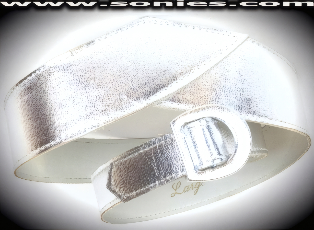 Botticelli Silver V-Shape Vinyl Waist Belt