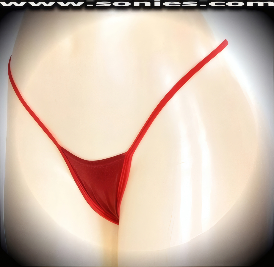 Achaea stretch liquid Lam&eacute; Lycra center stage thong panty