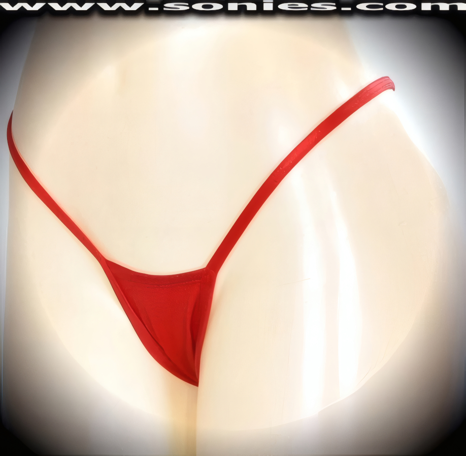 Marietta Metallic Lamé Lycra Micro Thong Panty