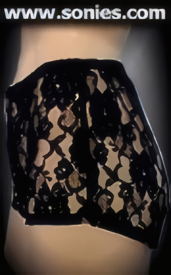 Weisshorn sheer floral lace shorts with front zipper closure
