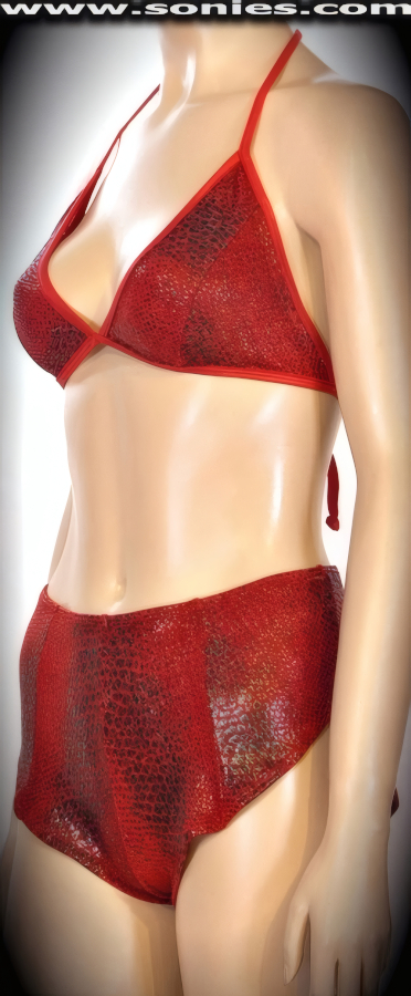 Jungfrau dragon scale foil Lycra halter top, shorts and thong