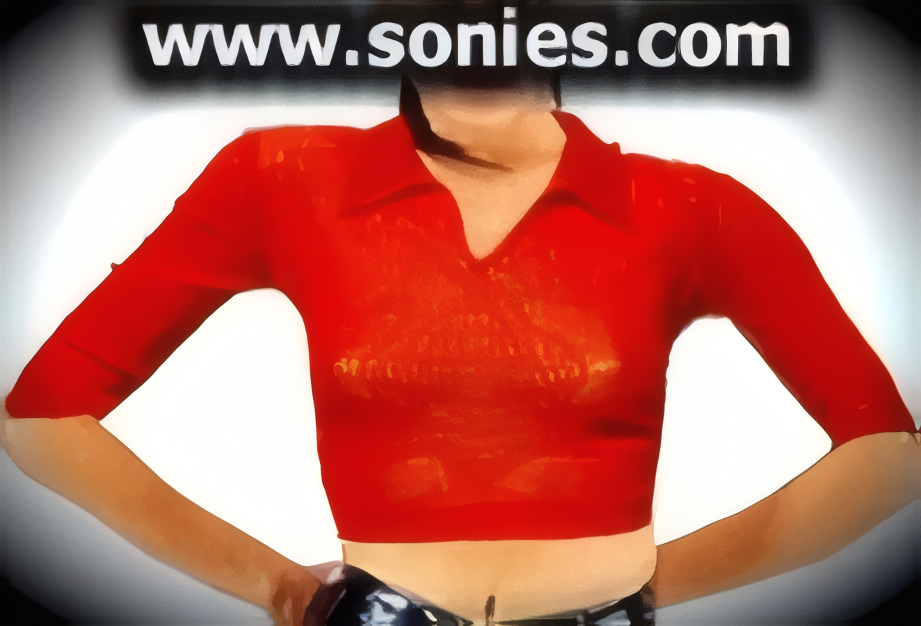 Dante mesh short-sleeved top with a V-shape neckline and collar