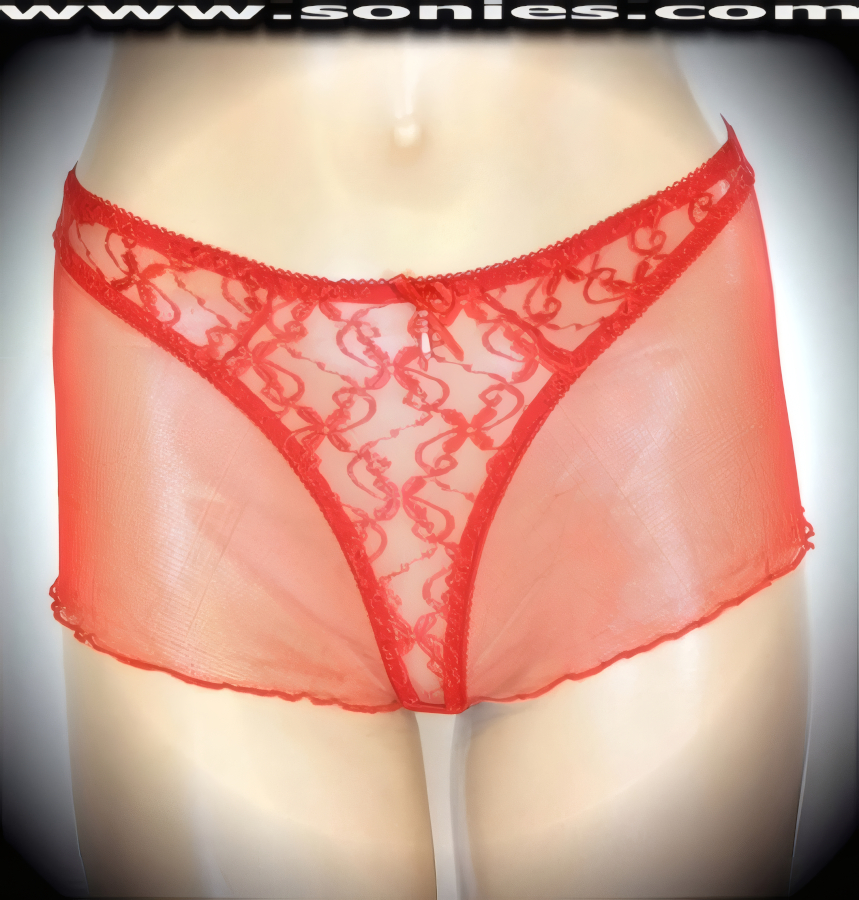 Anarawd embroidered lace thong panty with mesh hip sides