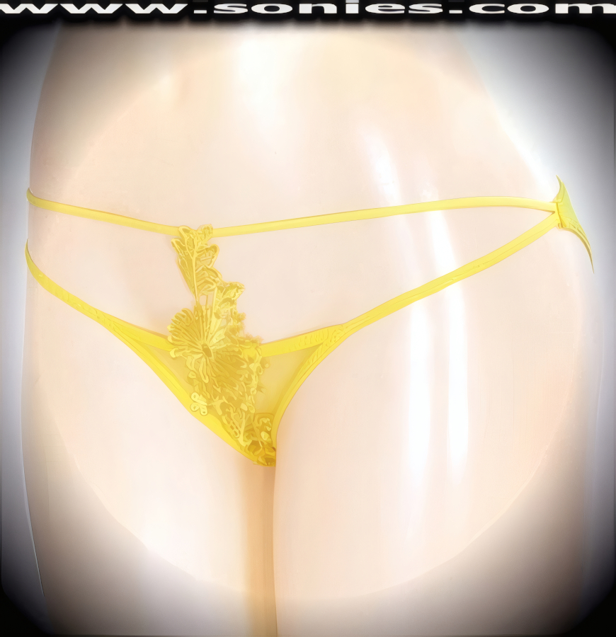 Aeaea Low-Rise Mesh Floral Bikini-Cut Panty