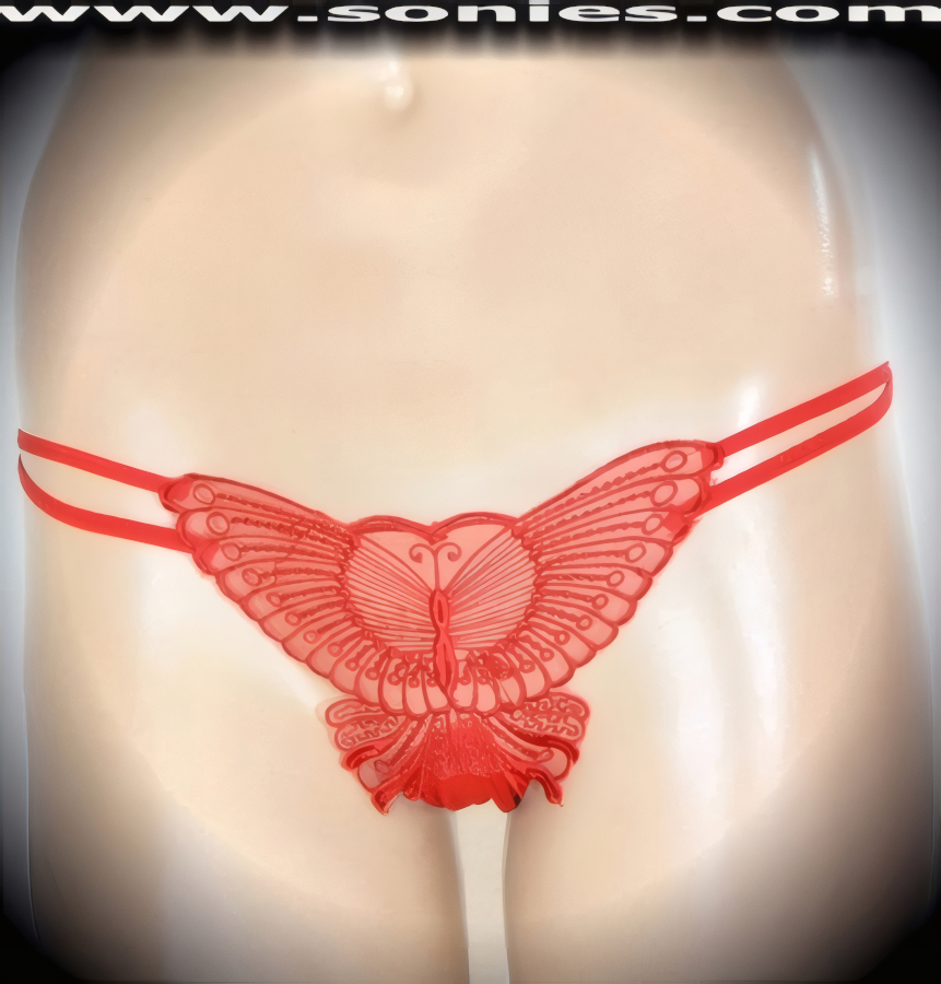 Denika Low-Rise Mesh Butterfly Bikini-Cut Panty