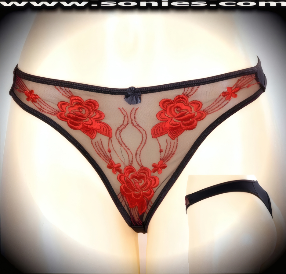 Olalla Low-Rise Mesh Floral Embroidered Thong Panty