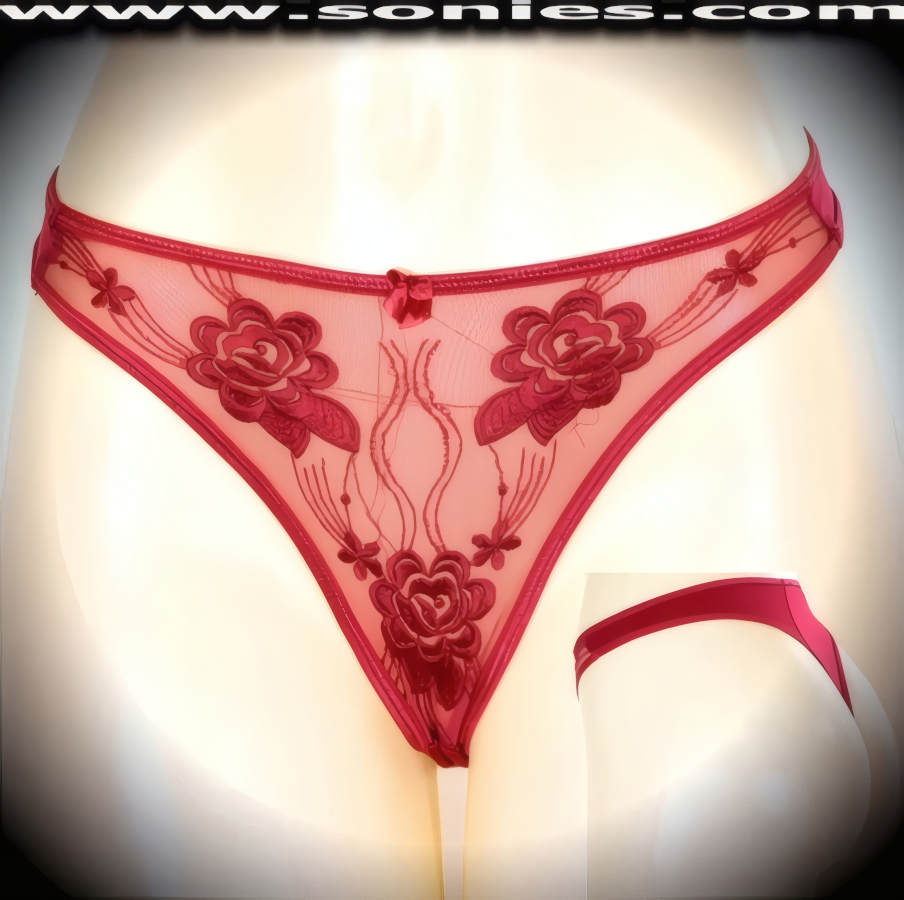 Olalla Low-Rise Mesh Floral Embroidered Thong Panty