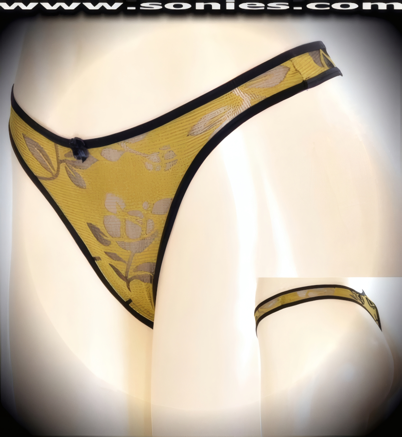 Juanita sheer mesh flower pattern thong back panty