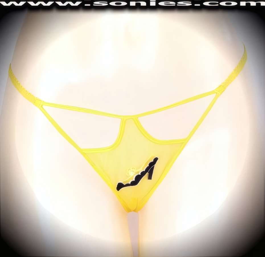 Lupita mesh cutout G-String panty with embroidered shoe