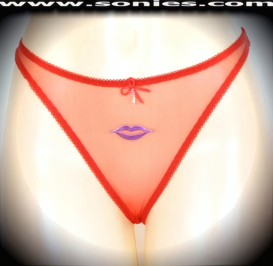 Paloma Low-Rise Mesh Lips Embroidered Thong Panty